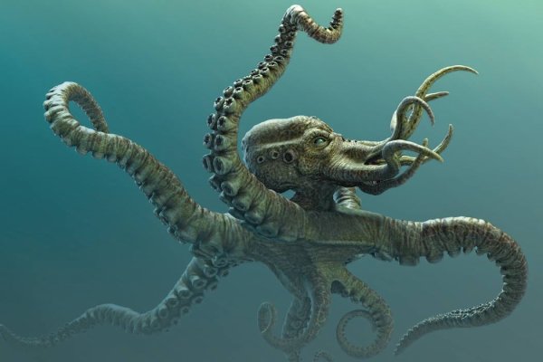 Kraken